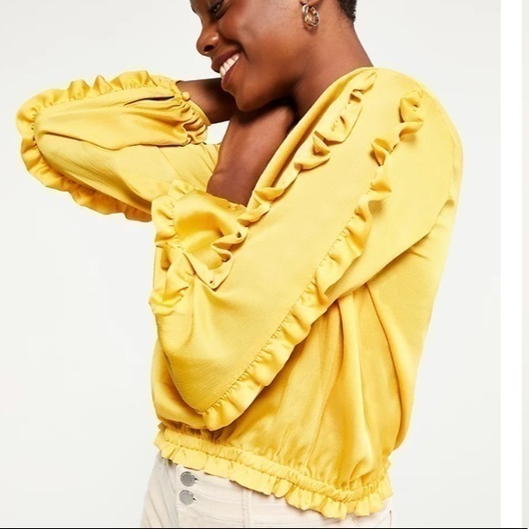 Ann Taylor Ruffle Sleeve Cinched Hem Top - Picture 6 of 7